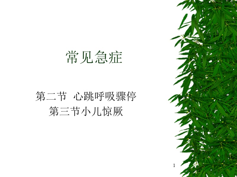 儿科护理常见急症ppt课件_第1页