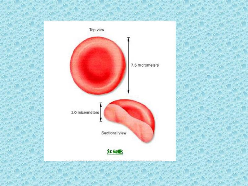 宠物血液常规检验项目及临床意义PPT课件_第3页