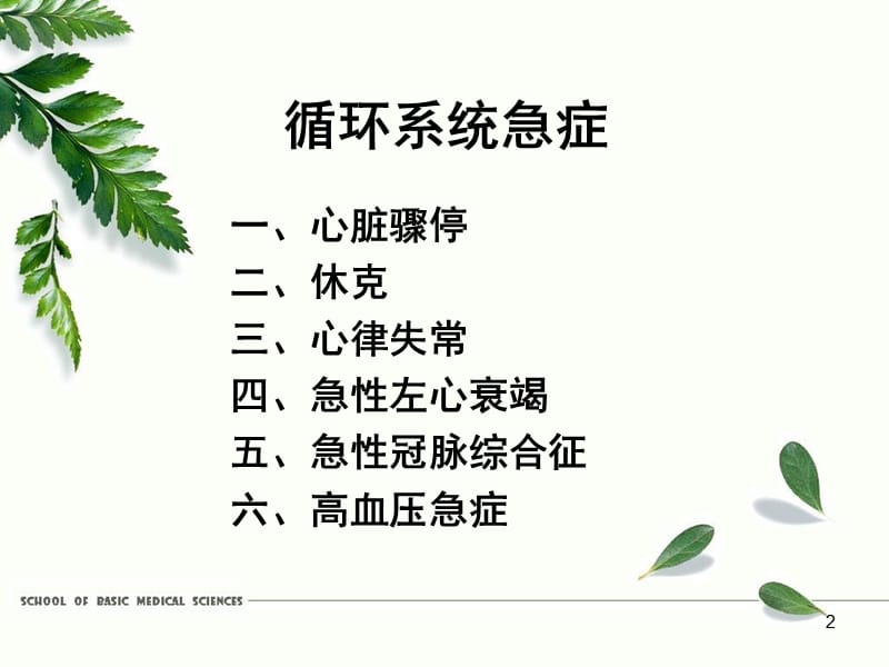 成教循环系统急症ppt课件_第2页