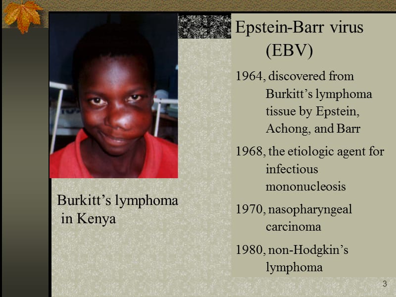 儿童EBV感染及相关疾病的诊断 ppt课件_第3页