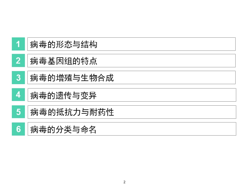 病毒的基本性状 ppt课件_第2页