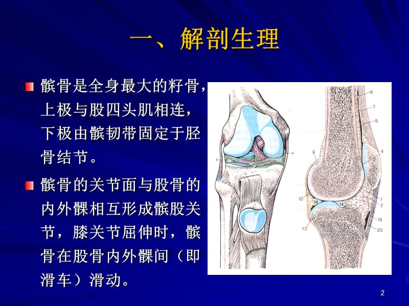 髌骨软化症的诊断及治疗PPT课件_第2页