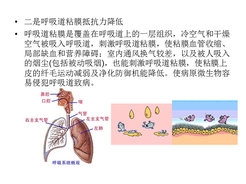 冬春季常见传染病预防知识ppt课件_第3页