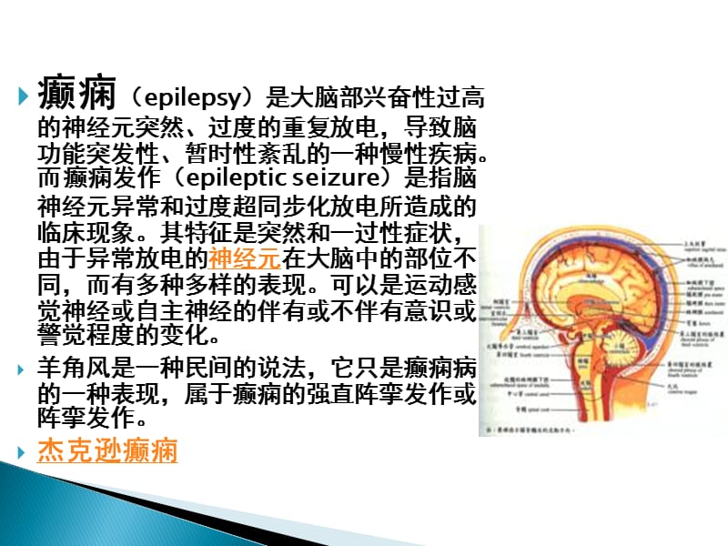 癫痫病人护理措施ppt课件_第2页