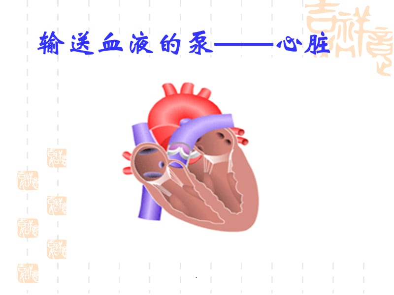 生物公开课血液循环课件PPT演示课件_第2页