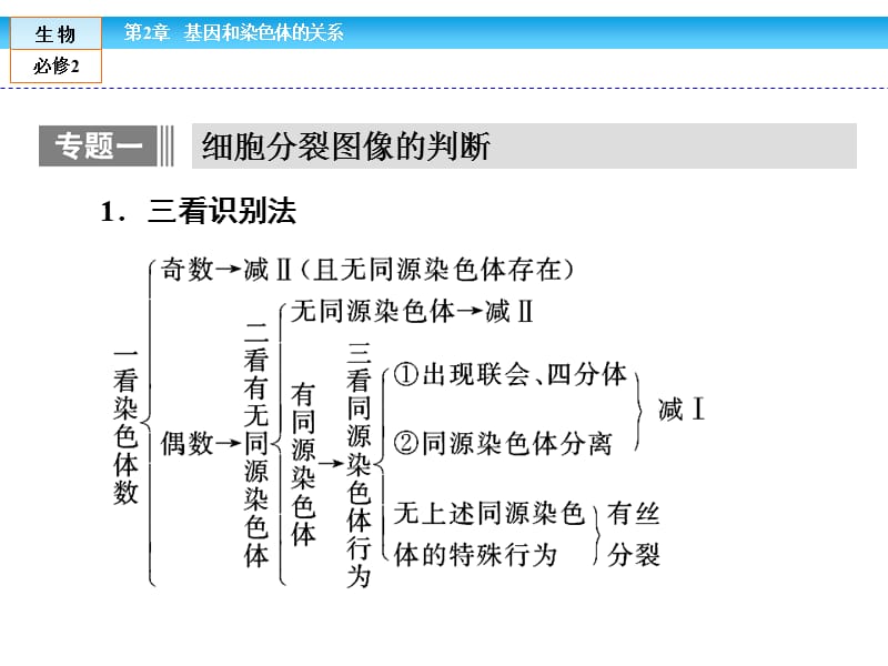 (人教版)高中生物必修二PPT演示课件_第3页