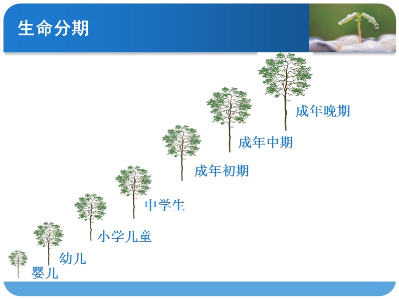 教育学里的婴儿时期PPT课件_第3页