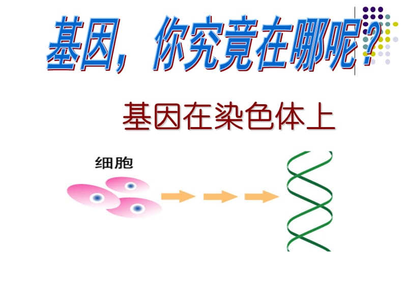 基因在染色体上PPT演示课件_第1页