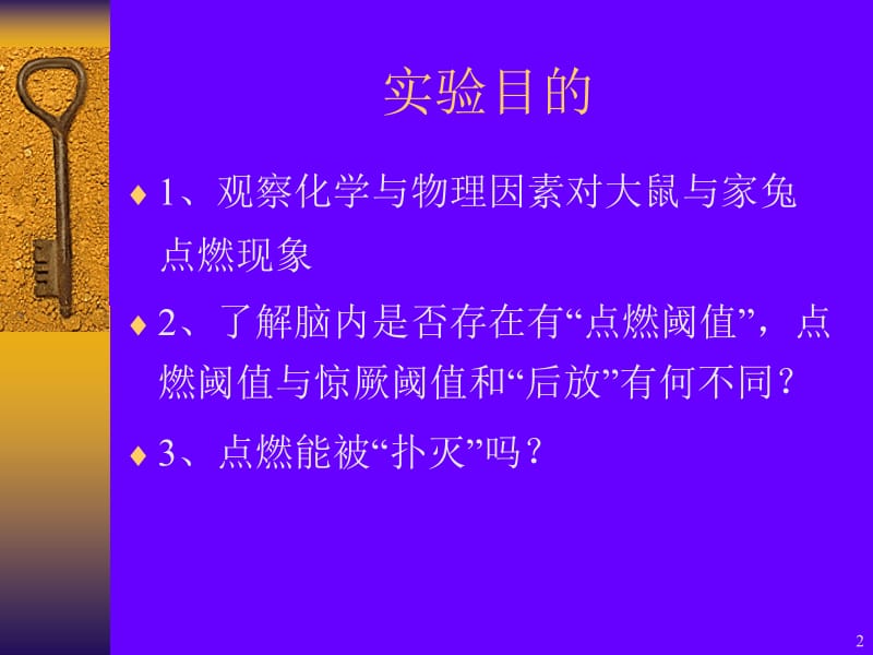 惊厥阈值与点燃阈值ppt课件_第2页