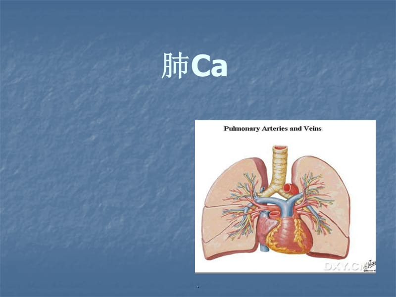 肺CaPPT演示课件_第1页