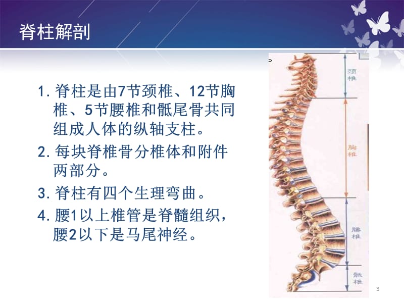脊柱骨折病人的护理 PPT课件_第3页