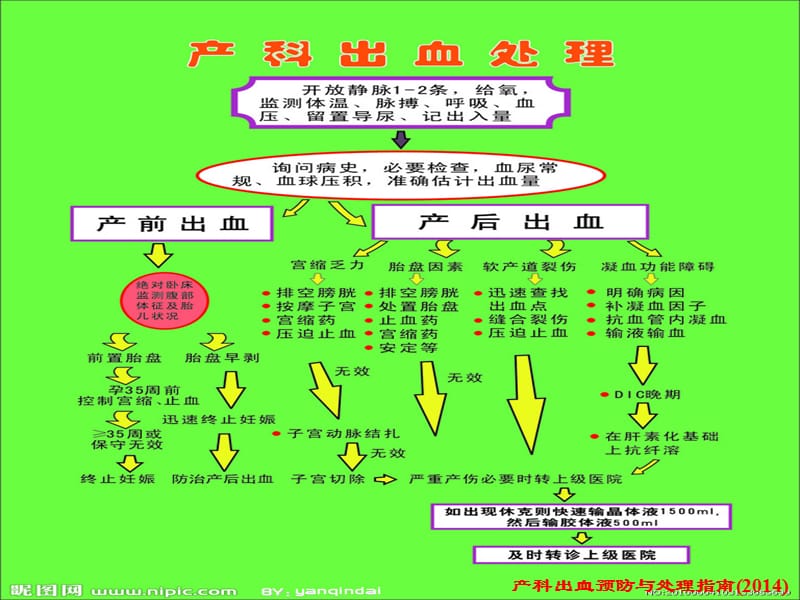 产科出血的麻醉与处理PPT演示课件_第2页