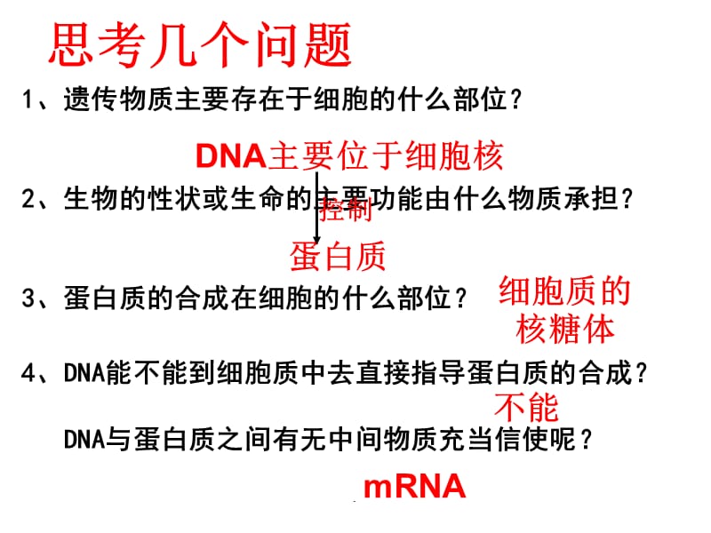 基因指导蛋白质的合成PPT演示课件_第3页