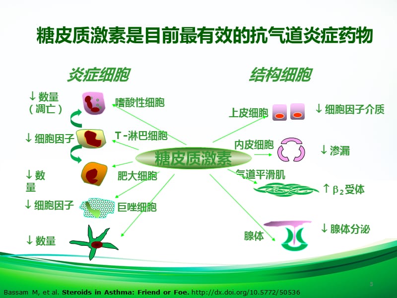 儿童哮喘维持治疗药物和给药装置选择ppt课件_第3页