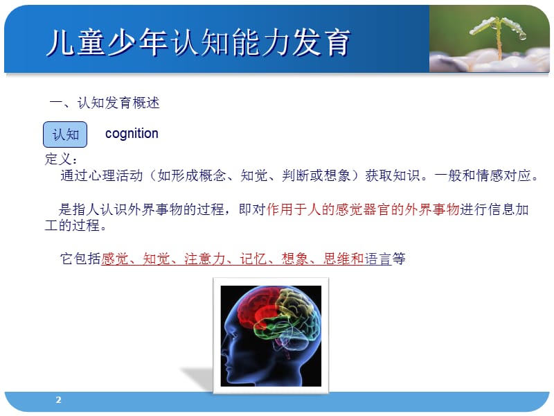 儿童心理发展阶段和内容PPT课件_第2页