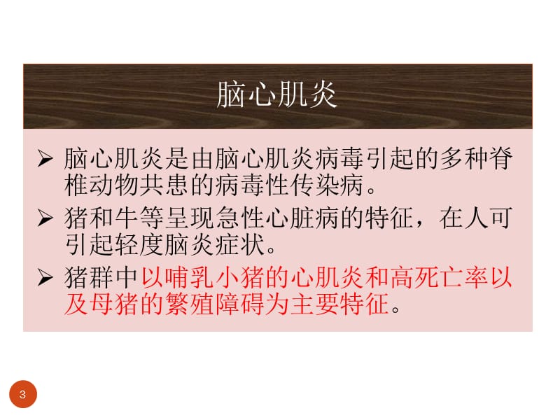 脑心肌炎ppt课件_第3页