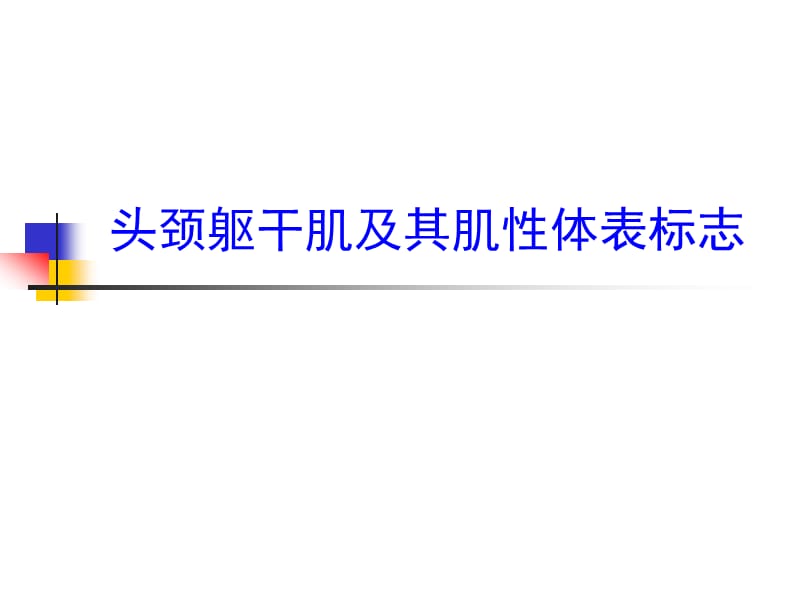 头颈躯干肌及其肌性体表标志PPT演示课件_第1页