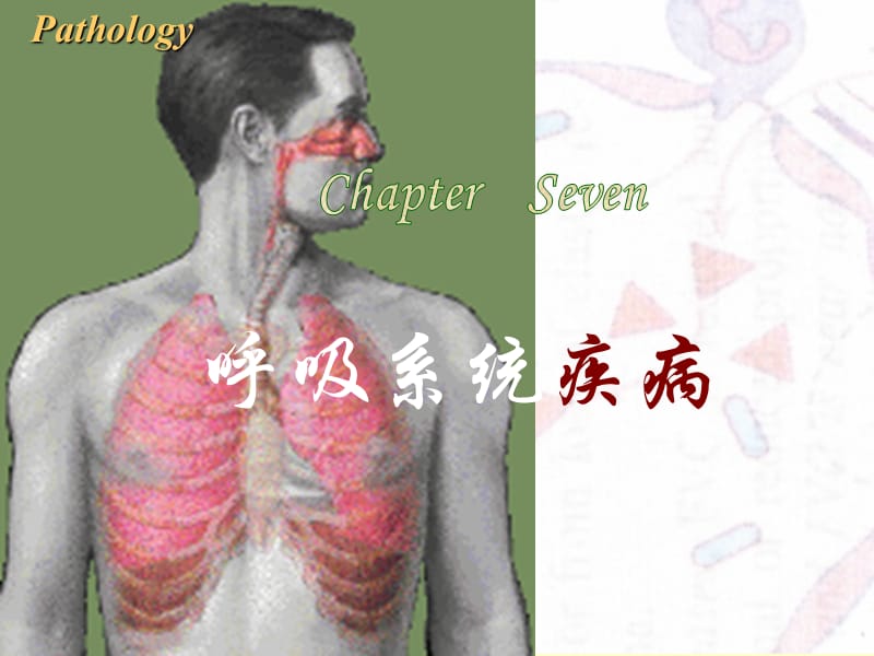 呼吸系统PPT演示课件_第1页
