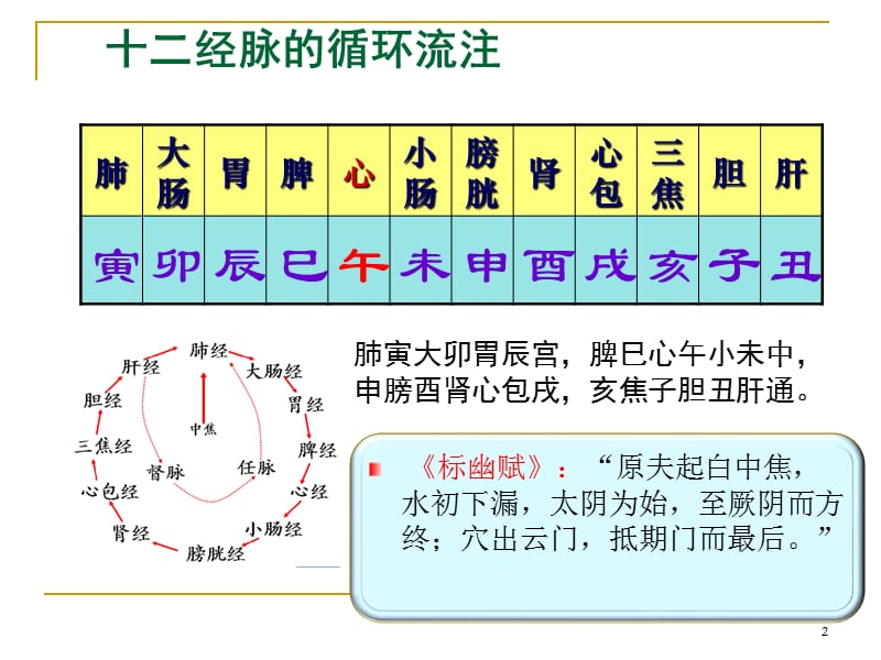 大肠经PPT课件_第2页