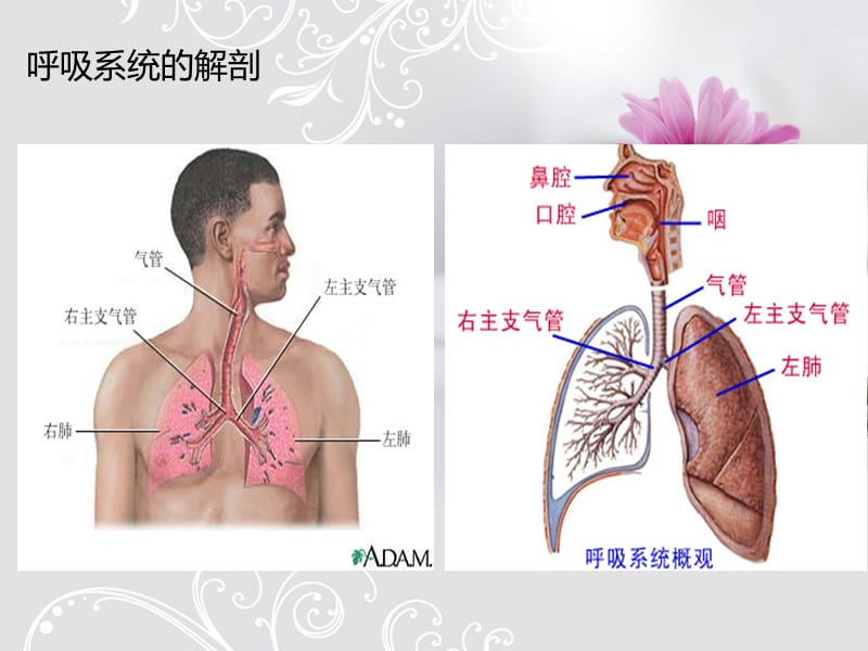 呼吸衰竭的急救护理幻灯片课件_第3页