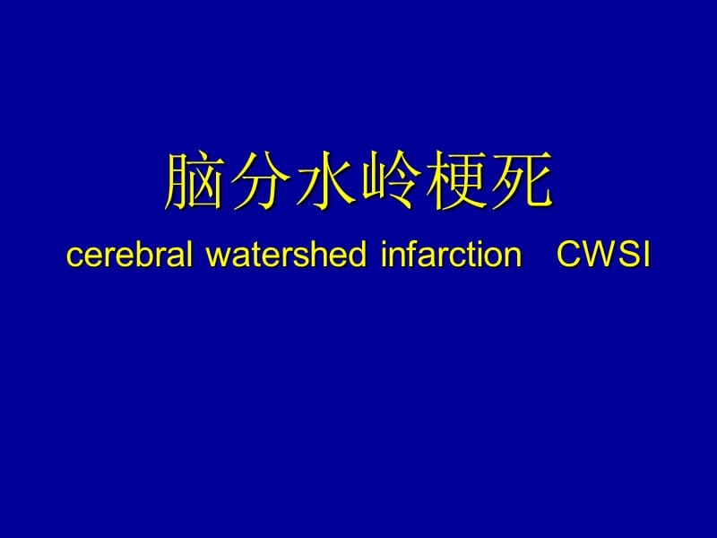 脑分水岭梗死PPT演示课件_第1页