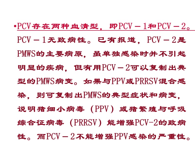 猪圆环病毒感染PPT演示课件_第3页