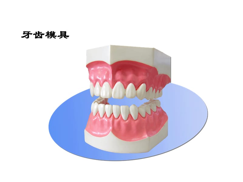 儿童口腔保健PPT课件_第3页