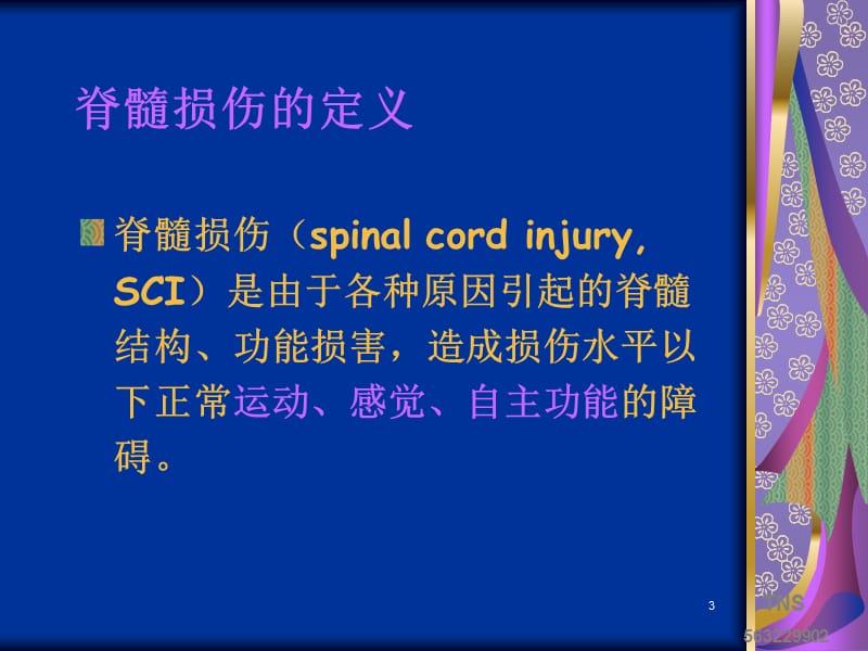 脊髓损伤的康复护理PPT课件_第3页