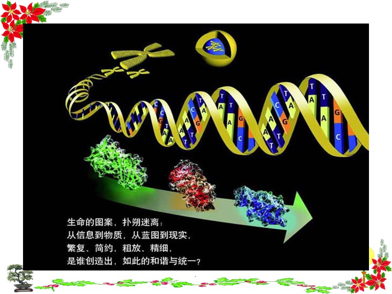 基因指导蛋白质的合成PPT演示课件_第2页
