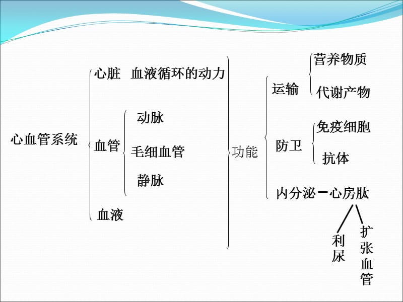 畜禽解剖学心血管系统分析PPT演示课件_第3页