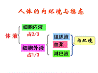 人教版高二生物必修三詳細復習知識點課件PPT演示課件