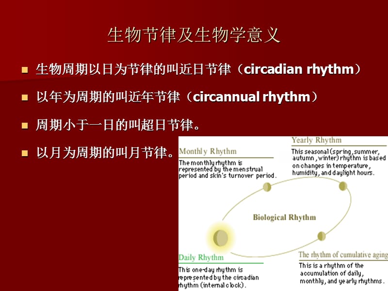 时间药理学与临床合理用药PPT演示课件_第3页