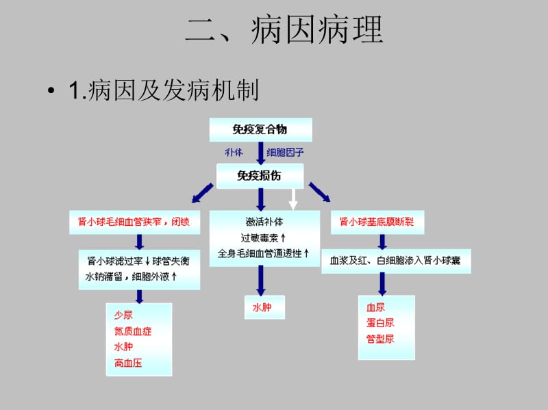 急性肾小球肾炎AGN PPT课件_第3页