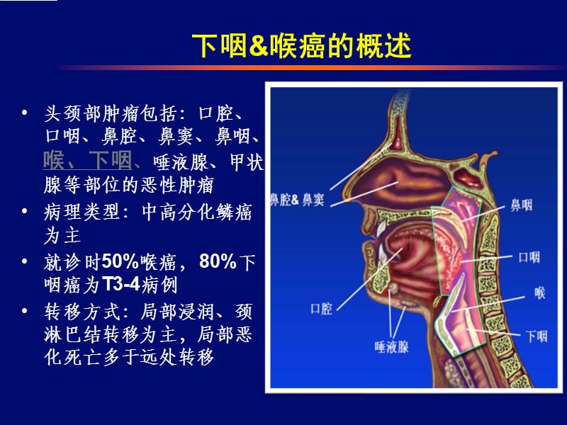 喉癌保喉治疗临床进展PPT课件_第2页