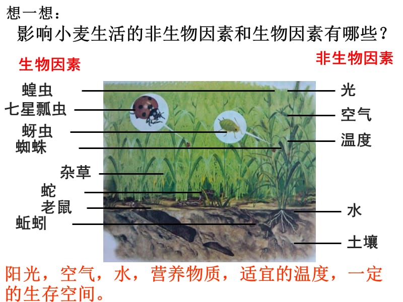 初中生物四本书全部重点内容PPT演示课件_第1页