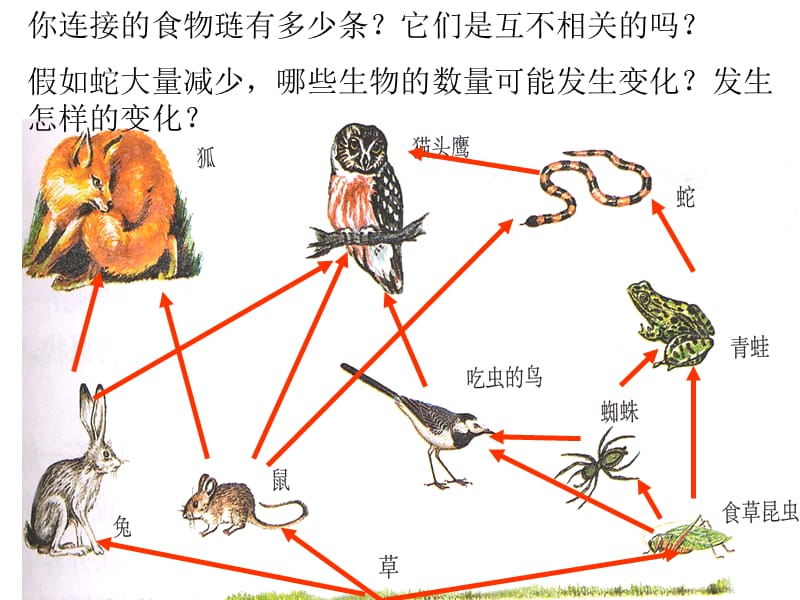 初中生物四本书全部重点内容PPT演示课件_第2页