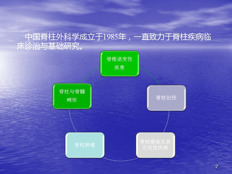 脊柱疾患的手术治疗进展PPT课件_第2页