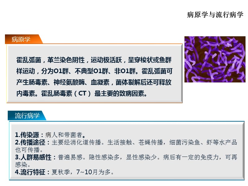 霍乱ppt课件_第3页