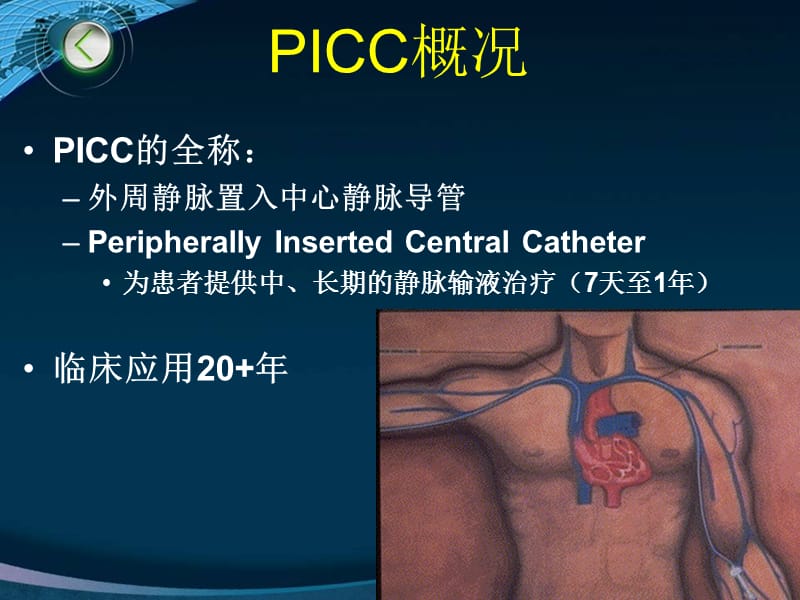 PICC相关的血管解剖及穿刺部位的评估PPT演示课件_第2页