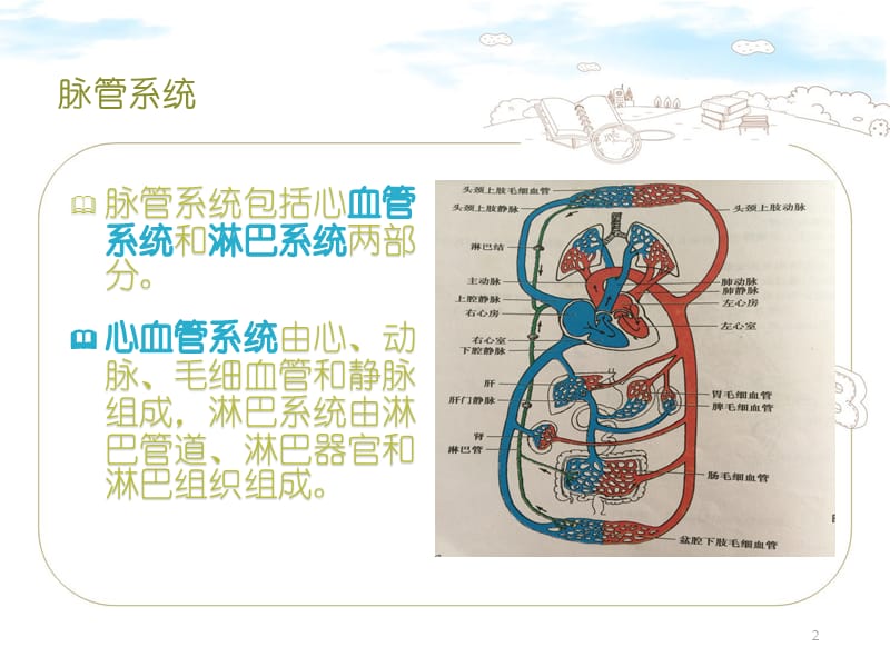 急性心衰患者的急救与护理 ppt课件_第2页