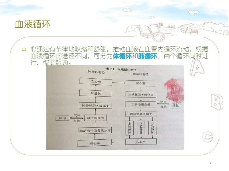 急性心衰患者的急救与护理 ppt课件_第3页