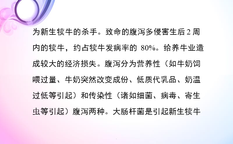 犊牛腹泻原因及预防PPT演示课件_第2页