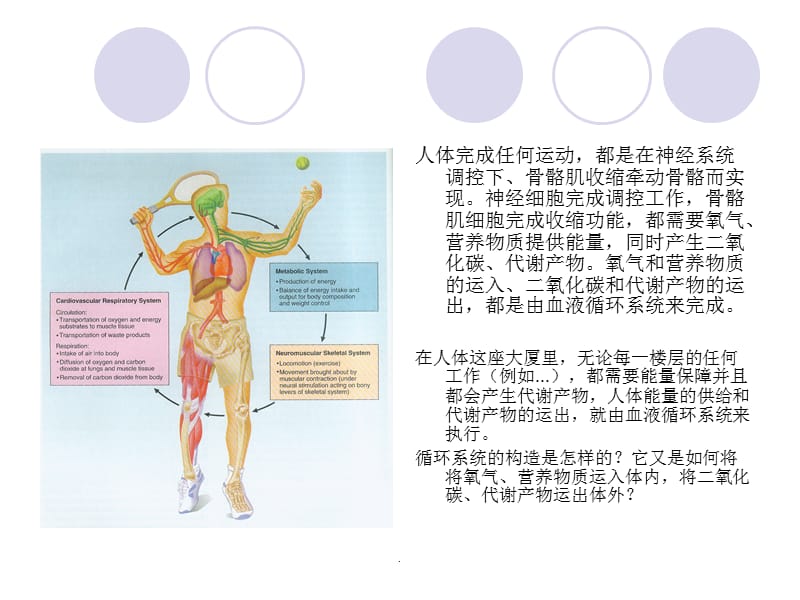 健身运动处方的基本要素PPT演示课件_第2页