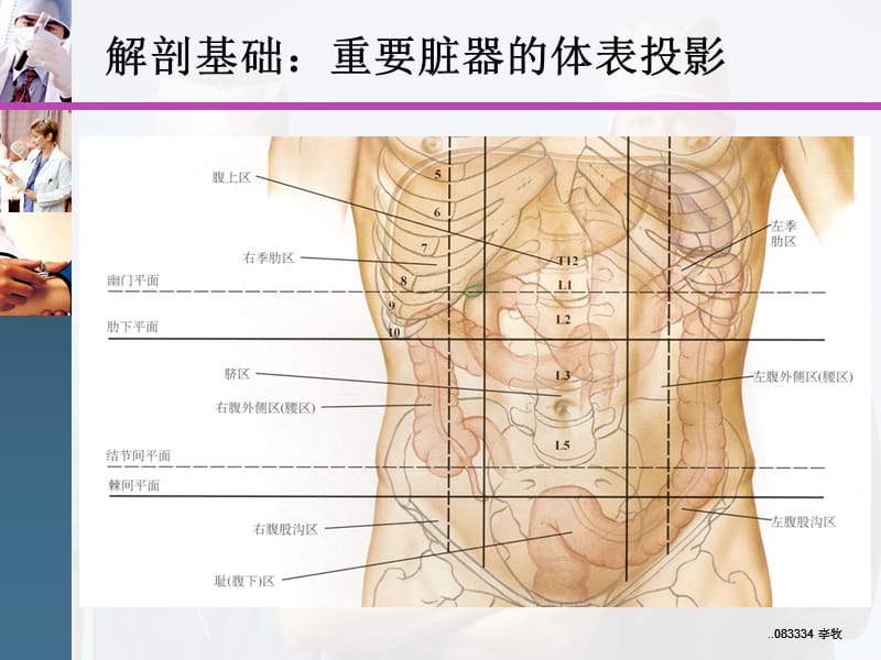 腹盆腔CT常见结构及临床意义PPT演示课件_第2页