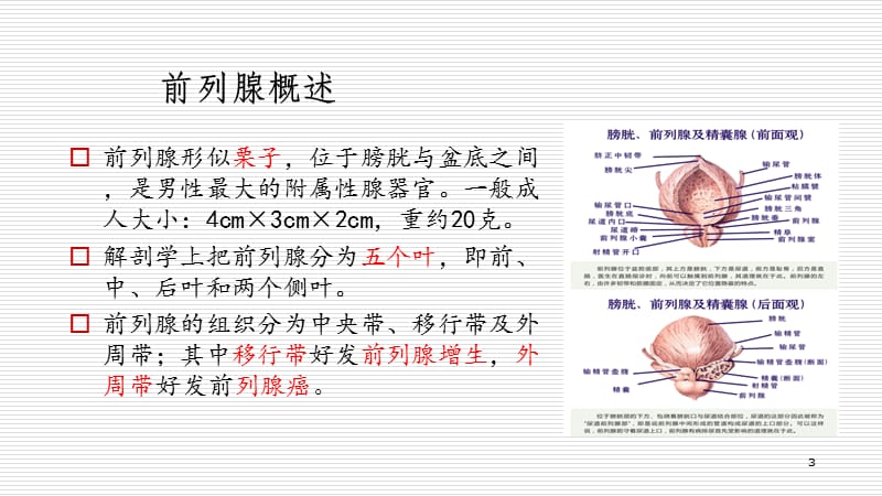 前列腺炎的防治PPT课件_第3页