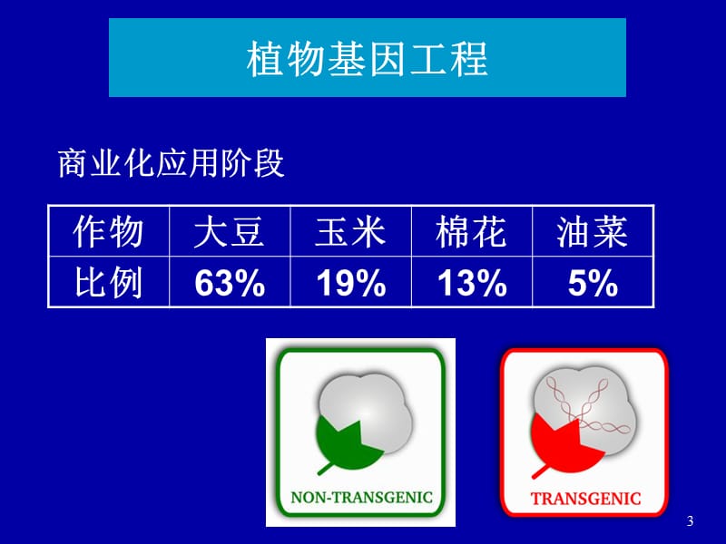 基因工程的应用ppt课件_第3页