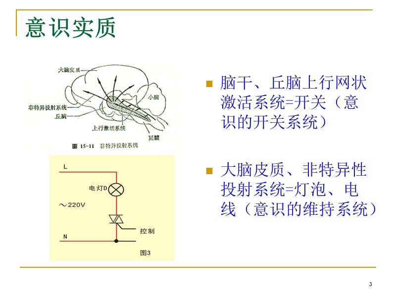 昏迷ppt课件_第3页