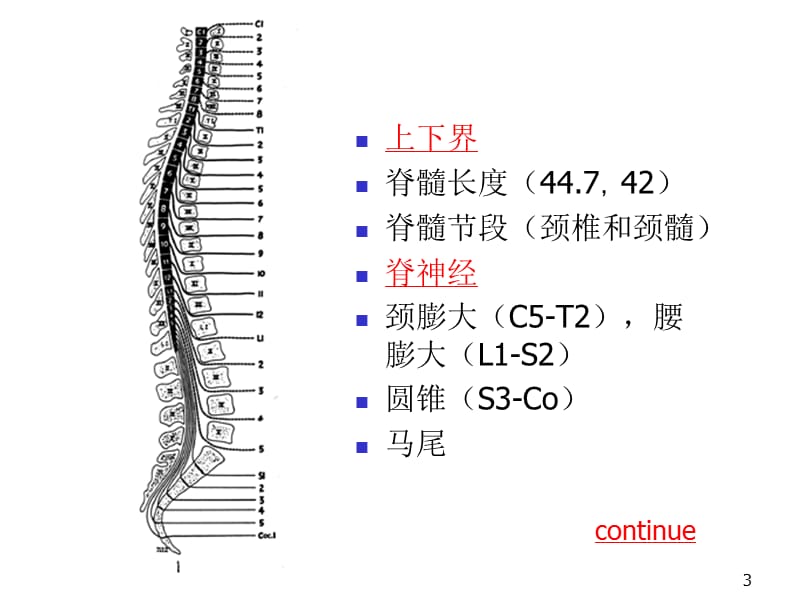 脊髓疾病的影像诊断PPT课件_第3页