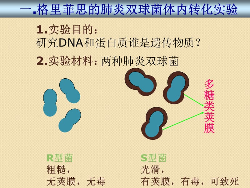 DNA是主要的遗传物质新人教版必修PPT演示课件_第2页