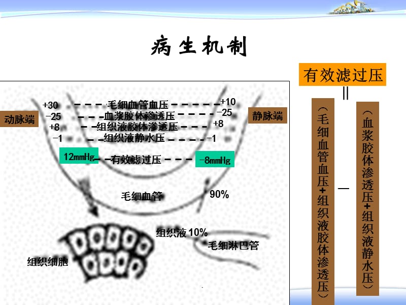 水肿—健康评估PPT演示课件_第2页